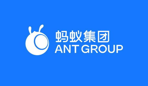 螞蟻集團(tuán)在渝成立數(shù)字天螞公司，注冊(cè)資本1億元加碼網(wǎng)絡(luò)技術(shù)服務(wù)